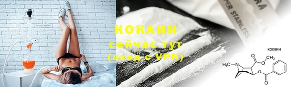 ешки Аркадак