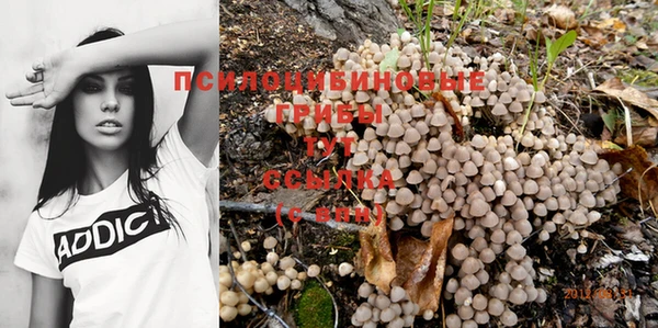 а пвп мука Алексин