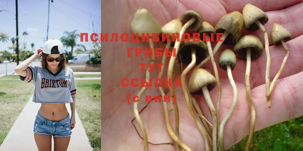 меф VHQ Нея