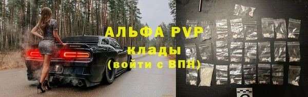 ешки Аркадак